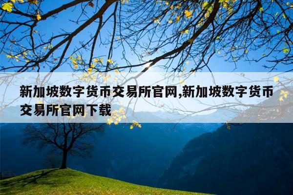 新加坡数字货币交易所官网,新加坡数字货币交易所官网下载
