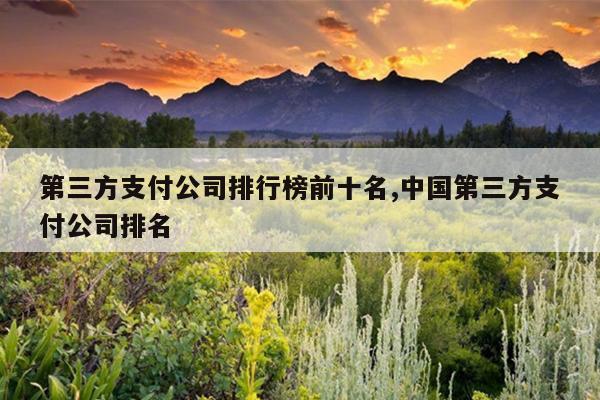 第三方支付公司排行榜前十名,中国第三方支付公司排名