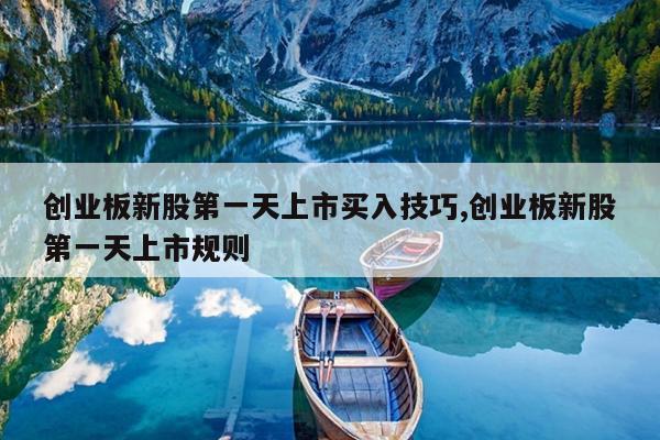 创业板新股第一天上市买入技巧,创业板新股第一天上市规则