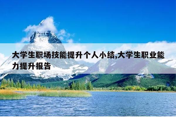 大学生职场技能提升个人小结,大学生职业能力提升报告