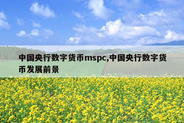 中国央行数字货币mspc,中国央行数字货币发展前景