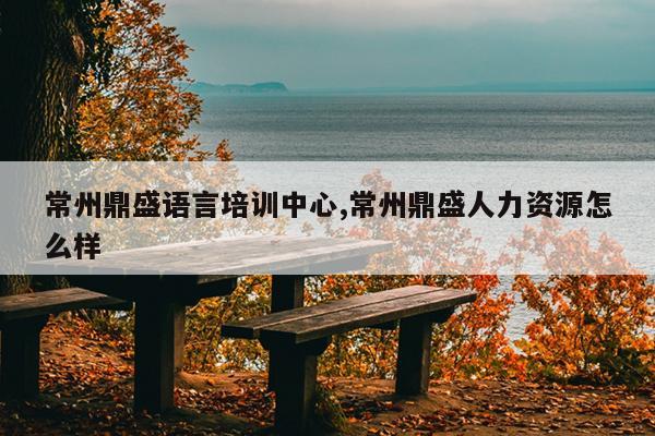 常州鼎盛语言培训中心,常州鼎盛人力资源怎么样