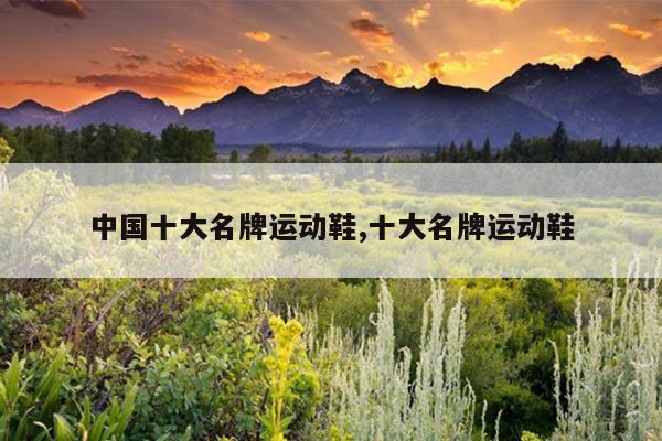 中国十大名牌运动鞋,十大名牌运动鞋