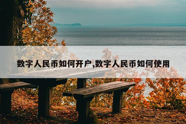 数字人民币如何开户,数字人民币如何使用