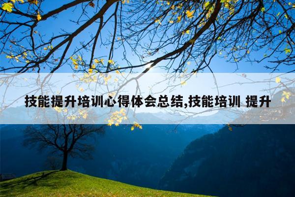 技能提升培训心得体会总结,技能培训 提升