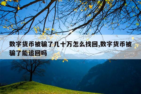 数字货币被骗了几十万怎么找回,数字货币被骗了能追回吗