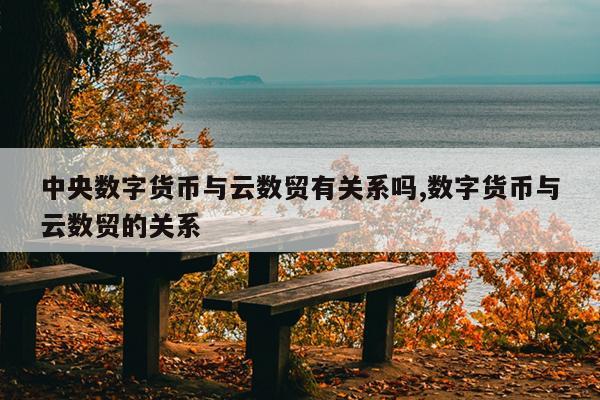 中央数字货币与云数贸有关系吗,数字货币与云数贸的关系