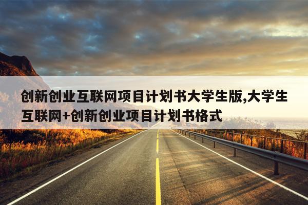 创新创业互联网项目计划书大学生版,大学生互联网+创新创业项目计划书格式