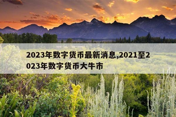 2023年数字货币最新消息,2021至2023年数字货币大牛市