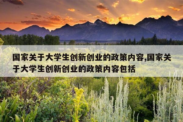 国家关于大学生创新创业的政策内容,国家关于大学生创新创业的政策内容包括