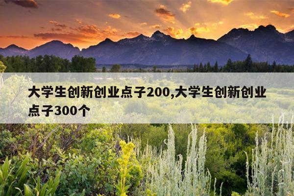 大学生创新创业点子200,大学生创新创业点子300个