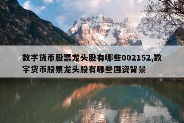 数字货币股票龙头股有哪些002152,数字货币股票龙头股有哪些国资背景