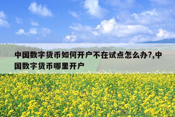 中国数字货币如何开户不在试点怎么办?,中国数字货币哪里开户