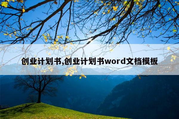 创业计划书,创业计划书word文档模板