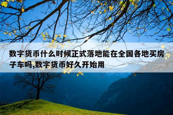 数字货币什么时候正式落地能在全国各地买房子车吗,数字货币好久开始用