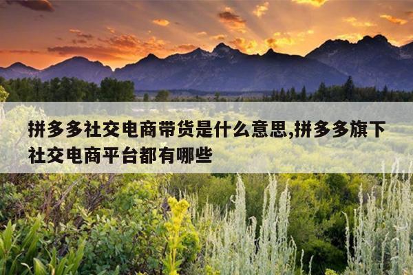 拼多多社交电商带货是什么意思,拼多多旗下社交电商平台都有哪些
