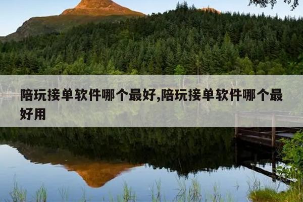 陪玩接单软件哪个最好,陪玩接单软件哪个最好用