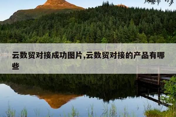 云数贸对接成功图片,云数贸对接的产品有哪些