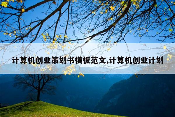 计算机创业策划书模板范文,计算机创业计划