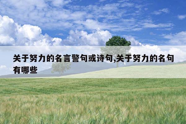 关于努力的名言警句或诗句,关于努力的名句有哪些