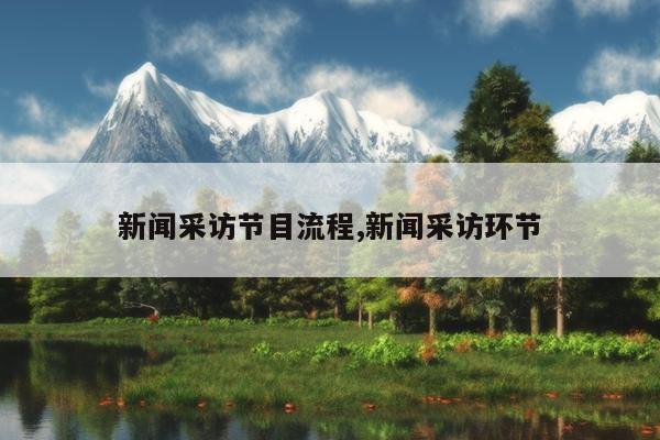 新闻采访节目流程,新闻采访环节