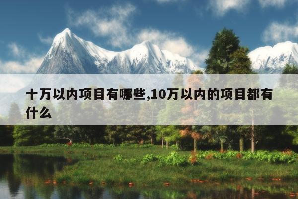 十万以内项目有哪些,10万以内的项目都有什么