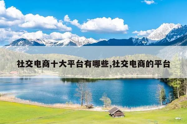 社交电商十大平台有哪些,社交电商的平台