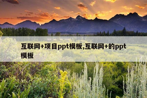互联网+项目ppt模板,互联网+的ppt模板