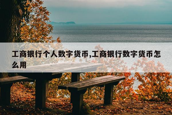 工商银行个人数字货币,工商银行数字货币怎么用
