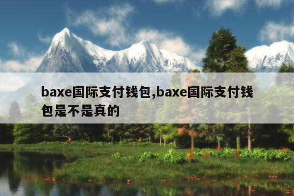 baxe国际支付钱包,baxe国际支付钱包是不是真的