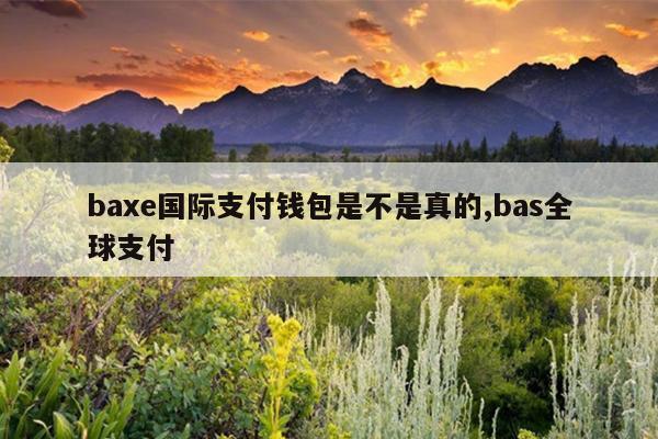 baxe国际支付钱包是不是真的,bas全球支付