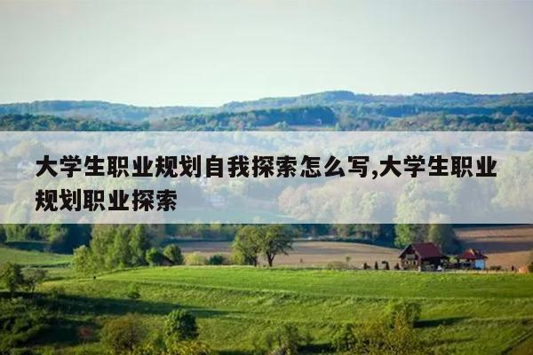 大学生职业规划自我探索怎么写,大学生职业规划职业探索