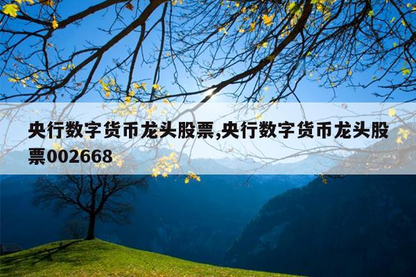 央行数字货币龙头股票,央行数字货币龙头股票002668