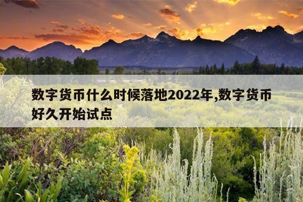 数字货币什么时候落地2022年,数字货币好久开始试点