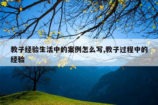 教子经验生活中的案例怎么写,教子过程中的经验