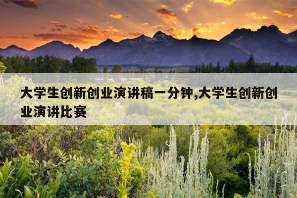 大学生创新创业演讲稿一分钟,大学生创新创业演讲比赛