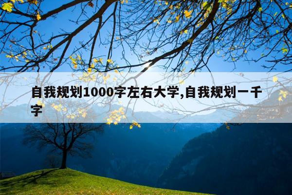 自我规划1000字左右大学,自我规划一千字