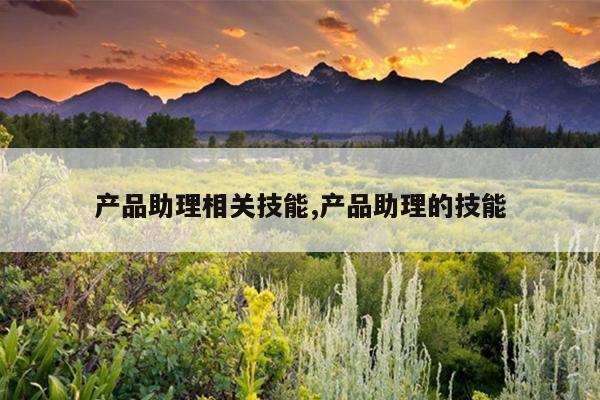 产品助理相关技能,产品助理的技能