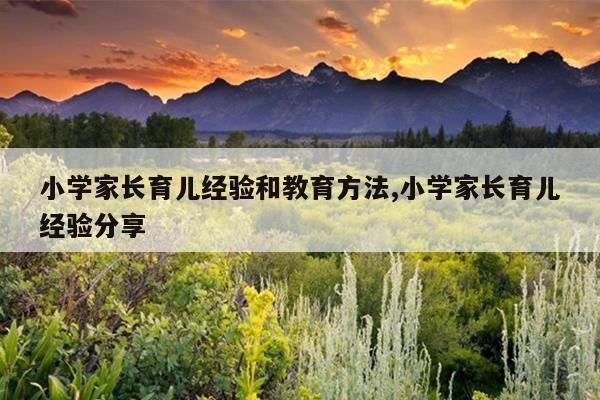 小学家长育儿经验和教育方法,小学家长育儿经验分享