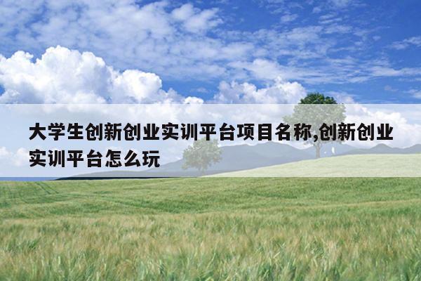 大学生创新创业实训平台项目名称,创新创业实训平台怎么玩