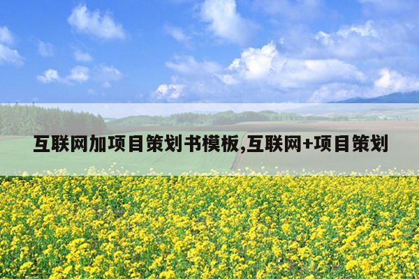 互联网加项目策划书模板,互联网+项目策划