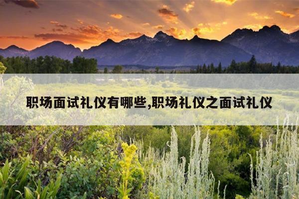 职场面试礼仪有哪些,职场礼仪之面试礼仪