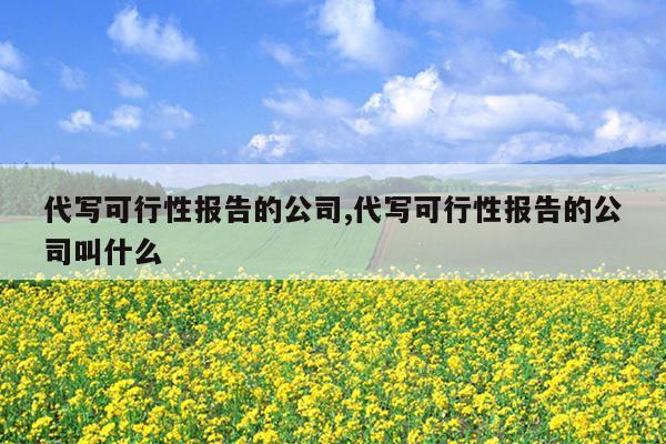 代写可行性报告的公司,代写可行性报告的公司叫什么