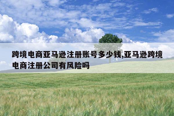 跨境电商亚马逊注册账号多少钱,亚马逊跨境电商注册公司有风险吗