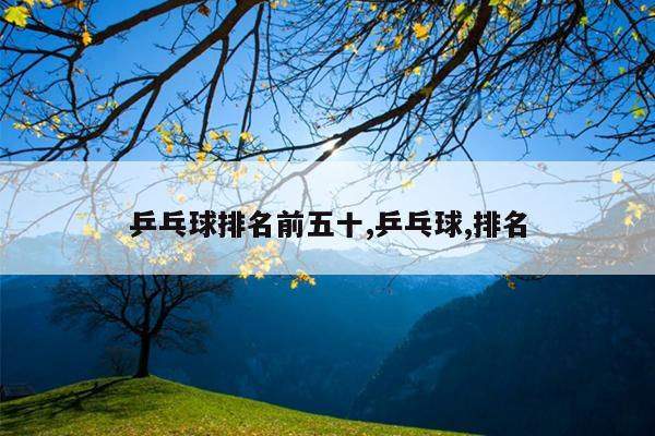 乒乓球排名前五十,乒乓球,排名