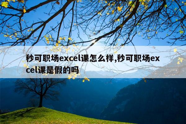 秒可职场excel课怎么样,秒可职场excel课是假的吗