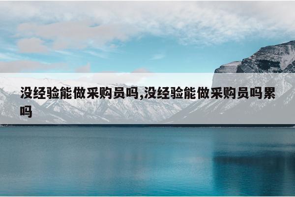 没经验能做采购员吗,没经验能做采购员吗累吗