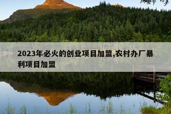 2023年必火的创业项目加盟,农村办厂暴利项目加盟