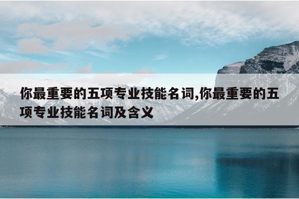 你最重要的五项专业技能名词,你最重要的五项专业技能名词及含义