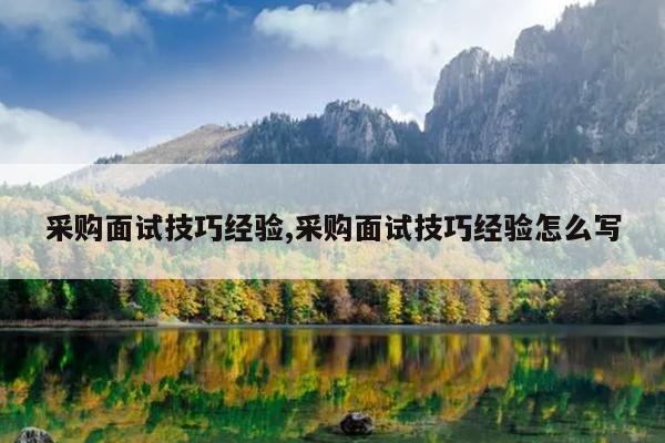 采购面试技巧经验,采购面试技巧经验怎么写